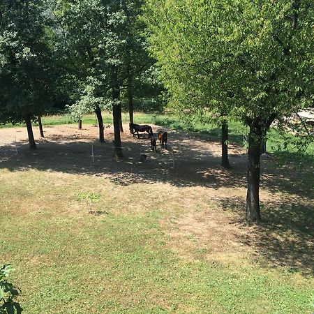 Fattoria Sequoia Panzió Castagneto Po Kültér fotó