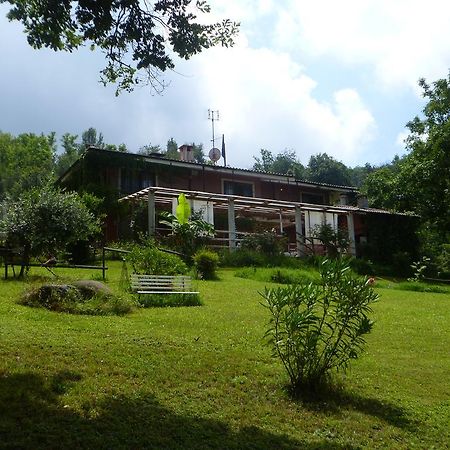 Fattoria Sequoia Panzió Castagneto Po Kültér fotó