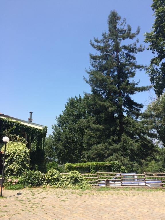 Fattoria Sequoia Panzió Castagneto Po Kültér fotó