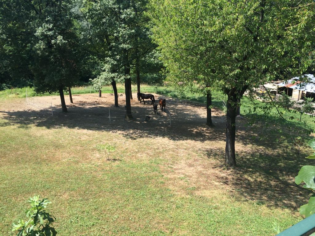 Fattoria Sequoia Panzió Castagneto Po Kültér fotó