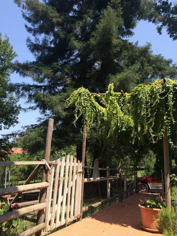 Fattoria Sequoia Panzió Castagneto Po Szoba fotó